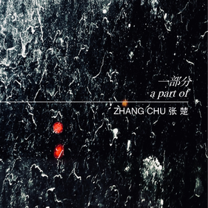 夫妻无码一区二区亚洲
