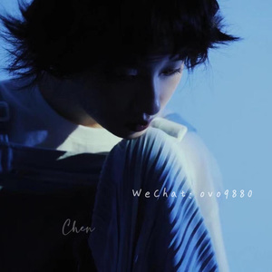 夫妻无码一区二区亚洲
