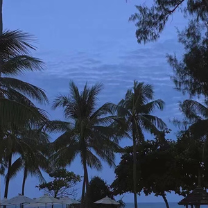 夫妻无码一区二区亚洲
