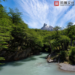 夫妻无码一区二区亚洲
